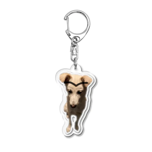 眉毛があるのに描かれてしまった犬 Acrylic Key Chain