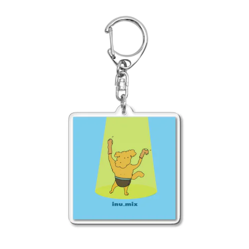 a Acrylic Key Chain