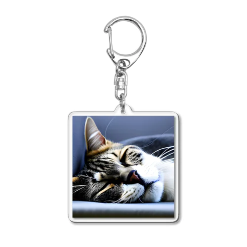 寝顔ドアップのキュートな猫 Acrylic Key Chain