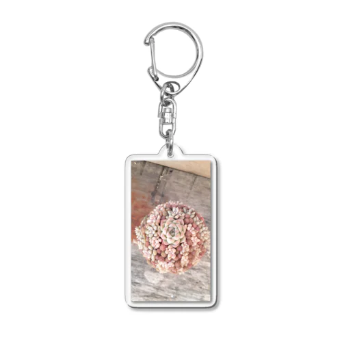 桜色寄せ植え Acrylic Key Chain