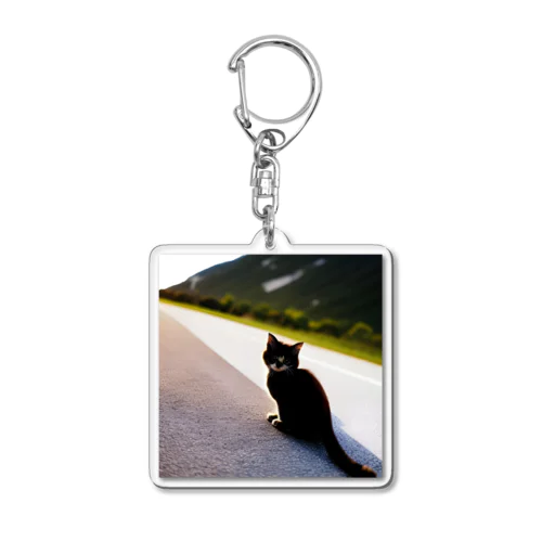 可愛すぎてたまらない、子猫グッズ Acrylic Key Chain