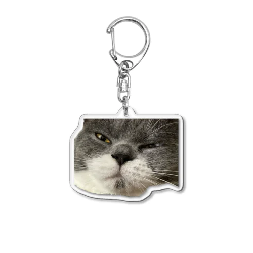 かわいすぎるねこ Acrylic Key Chain