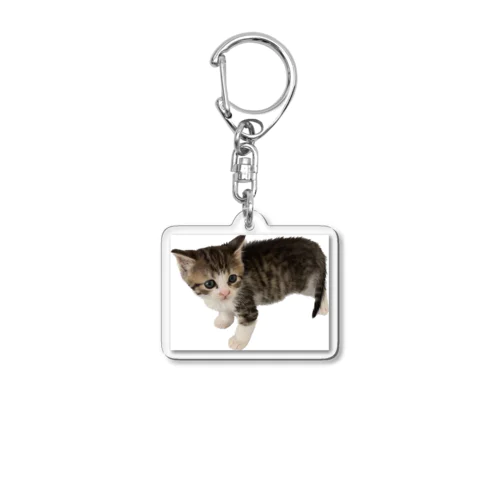 小さい猫　ツブちゃん Acrylic Key Chain