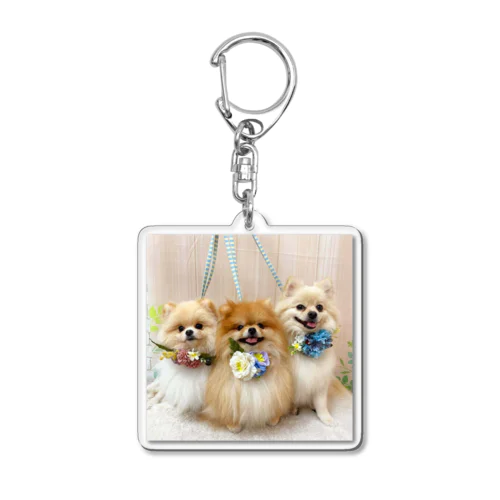 Pomeranianpuppy Acrylic Key Chain