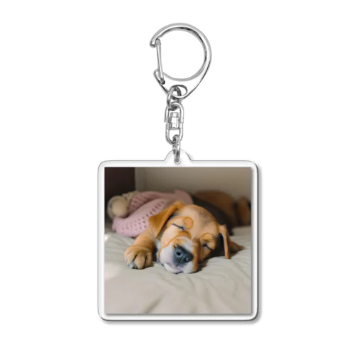 昼寝する子犬 Acrylic Key Chain