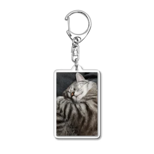 ふてぶてしい猫です｡ Acrylic Key Chain