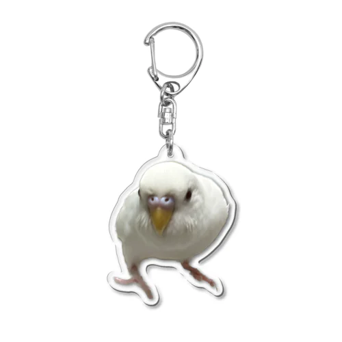 アルビノセキセイインコハクちゃん Acrylic Key Chain