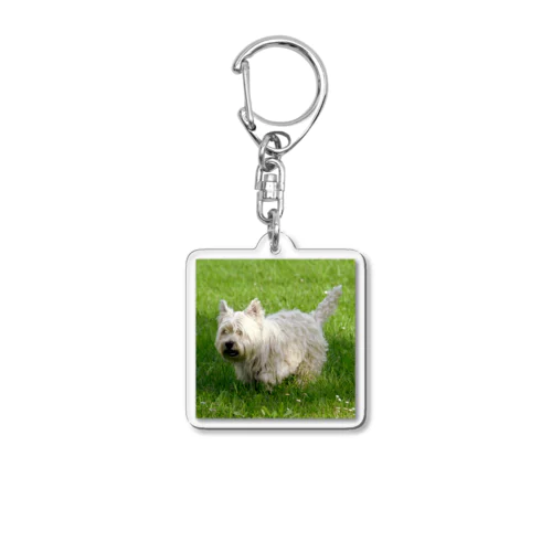 キュートな犬 Acrylic Key Chain