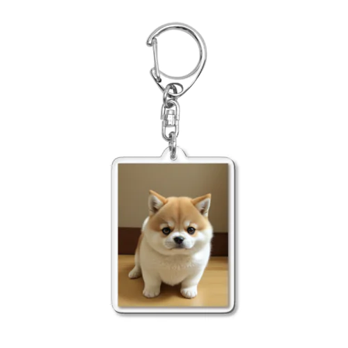 シーバ君 Acrylic Key Chain