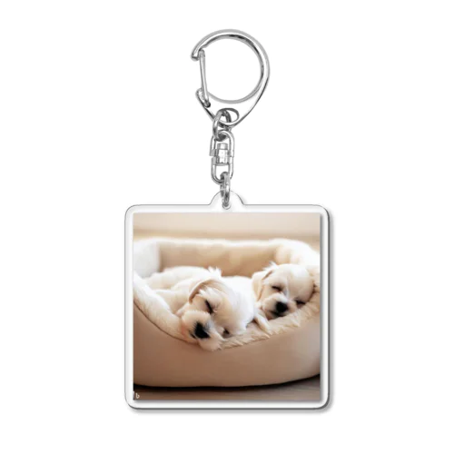 あなたの愛犬(おやすみマルチーズ) Acrylic Key Chain