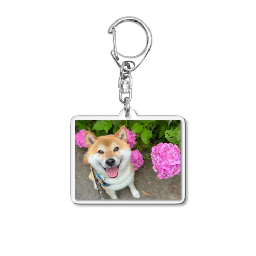 柴犬 Acrylic Key Chain