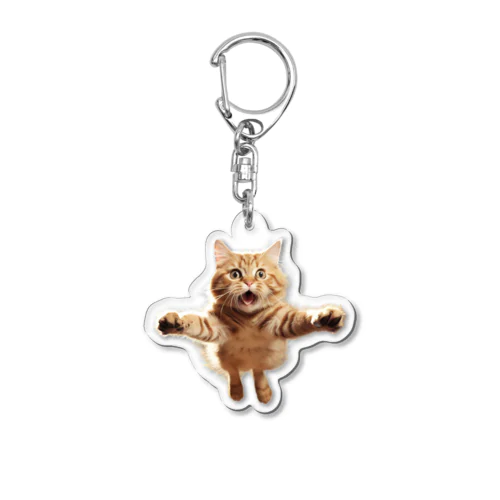 飛び付きそうな猫 Acrylic Key Chain