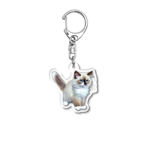 ラグドールの子猫ちゃん Acrylic Key Chain