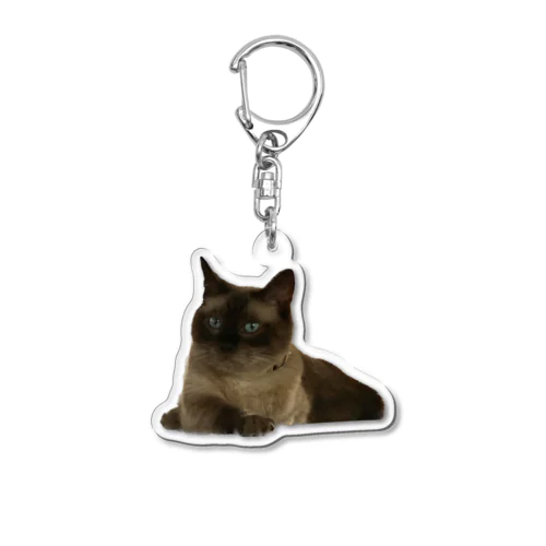 義実家猫ちゃん Acrylic Key Chain