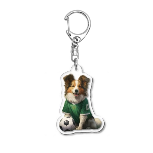 シェルティ４３ Acrylic Key Chain