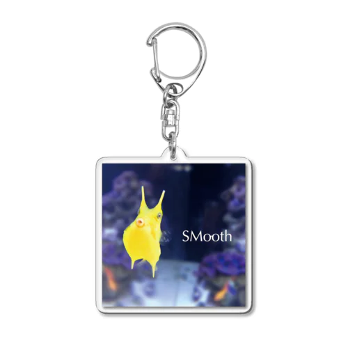 SMooth Acrylic Key Chain