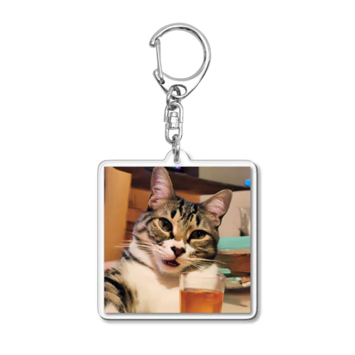 猫猫　泥酔 Acrylic Key Chain