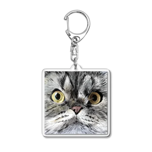 Rooey Acrylic Key Chain