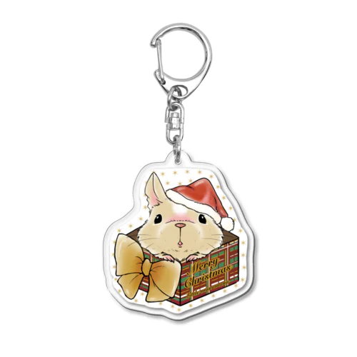 デグサンタ🎅 🎄Merry Christmas🎄 Acrylic Key Chain