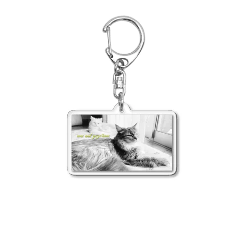 #ネコヒメペット 100ฅ^ơωơ^ฅ♡ Acrylic Key Chain