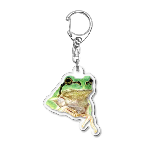 色鉛筆画　『アマガエル』 Acrylic Key Chain