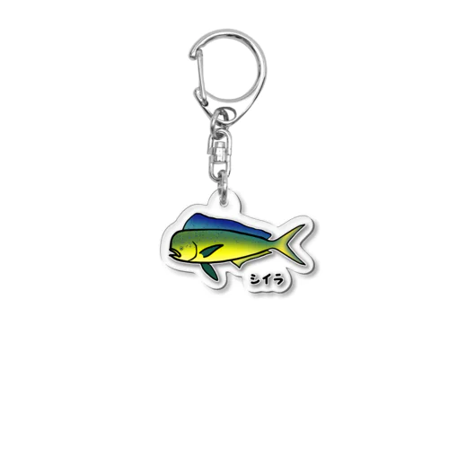 【魚シリーズ】シイラ♪1908  Acrylic Key Chain