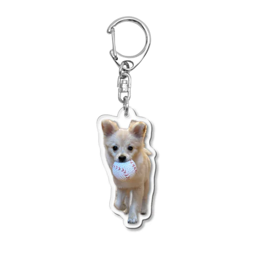 ポメチワのウェル Acrylic Key Chain