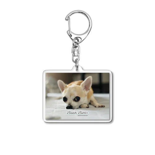 世界初！本物の犬執事・ドッグバトラーのバンビ君 Acrylic Key Chain