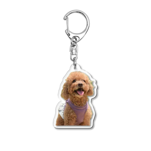  愛犬PASS Acrylic Key Chain