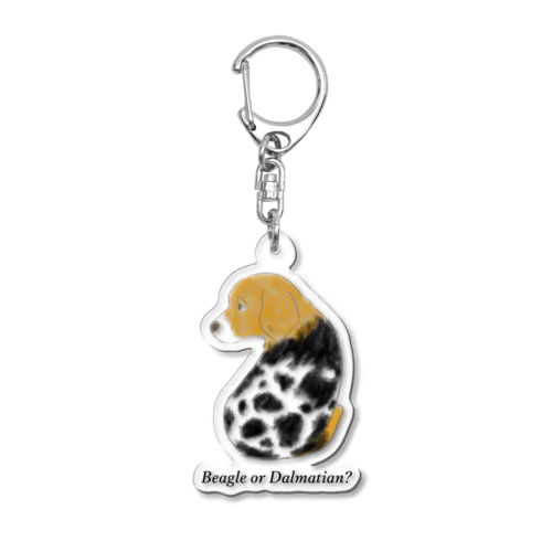 Beagle or Dalmatian? Acrylic Key Chain