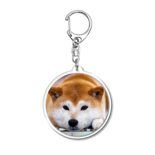 犬 Acrylic Key Chain