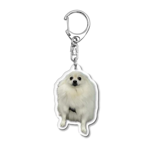 耳なしもち Acrylic Key Chain