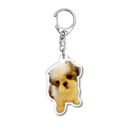 see&zoo Acrylic Key Chain