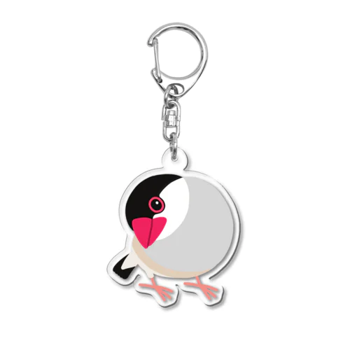 首をかしげる桜文鳥 Acrylic Key Chain