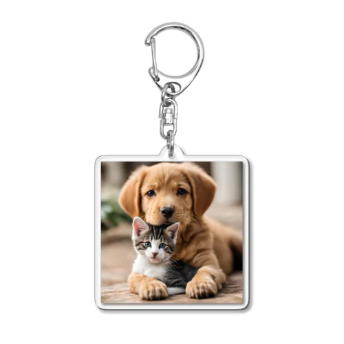 かわいい子猫と子犬 Acrylic Key Chain