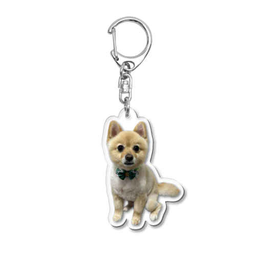 ポメラニアンのポメくん Acrylic Key Chain