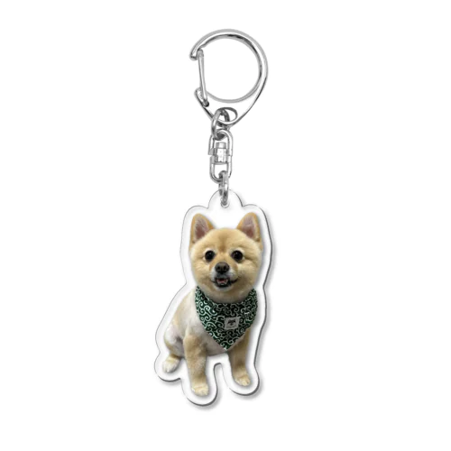 ポメラニアンのポメくん Acrylic Key Chain