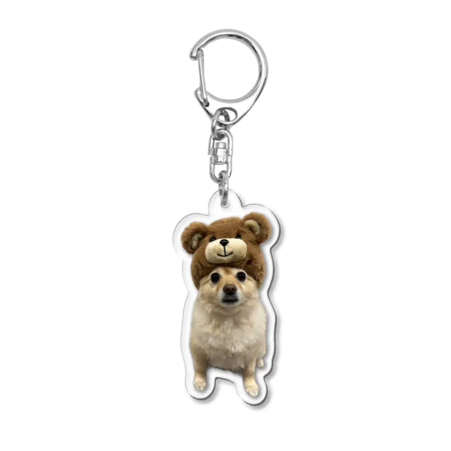 ポメラニアンのポメくん Acrylic Key Chain