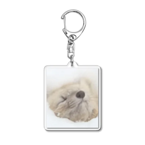 【エゾクロテン】いつもそばに動物を Acrylic Key Chain