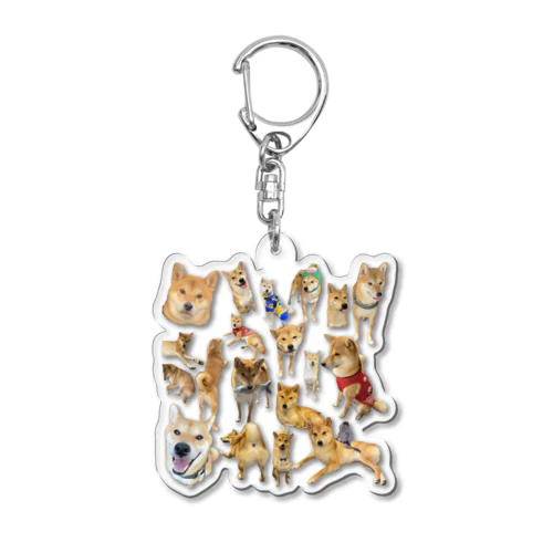 可愛い柴犬 Acrylic Key Chain