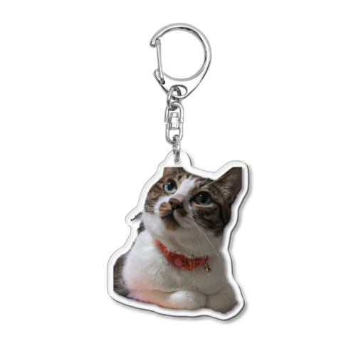 見上げる猫 Acrylic Key Chain