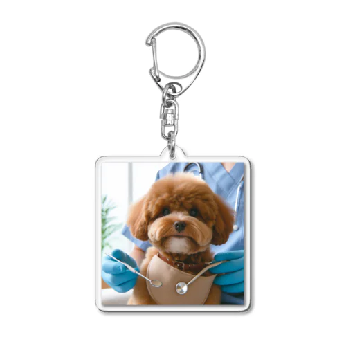 歯医者さんのかわいいマルプー犬 Acrylic Key Chain