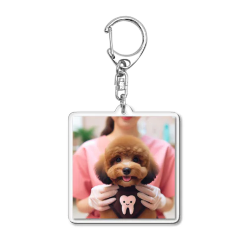 歯医者さんのかわいいマルプー犬 Acrylic Key Chain