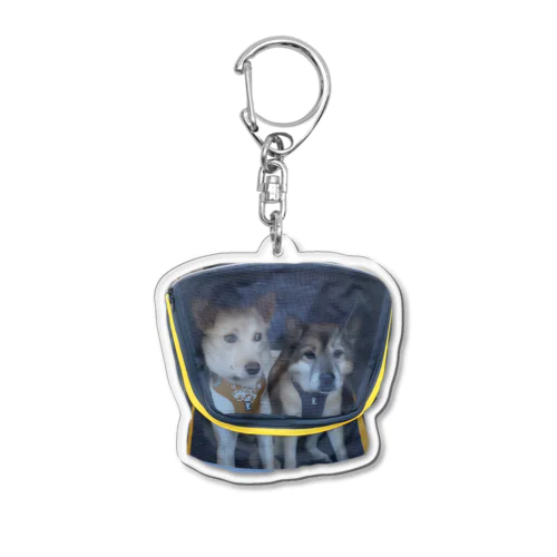 カートに乗せられ病院に連れてかれる犬 Acrylic Key Chain