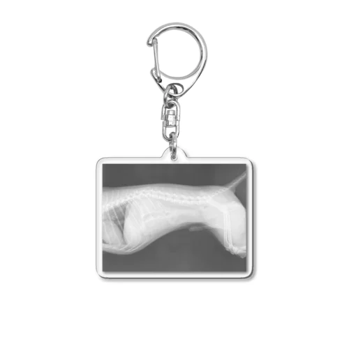 いぬのレントゲン Acrylic Key Chain