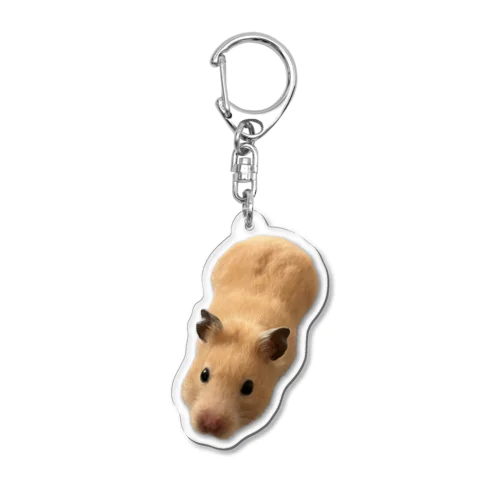 ふんふんみかん Acrylic Key Chain