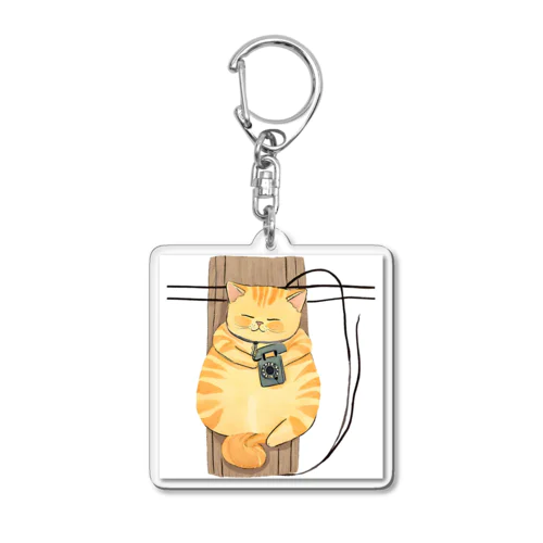 ブリティッシュショートヘアのドナちゃん Acrylic Key Chain