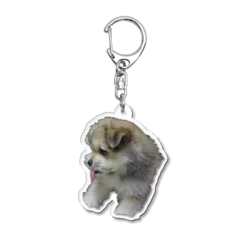 pupu Acrylic Key Chain