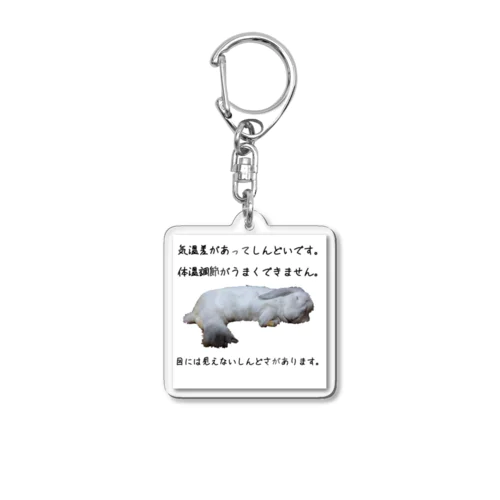 気温差しんどいマシュマロちゃん Acrylic Key Chain