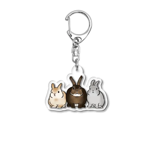 ぎゅぎゅっとうさぎさん Acrylic Key Chain